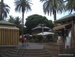 Puerto_de_la_Cruz - Bild 26