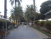 Puerto_de_la_Cruz - Bild 29
