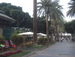 Puerto_de_la_Cruz - Bild 30