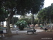 Puerto_de_la_Cruz - Bild 31