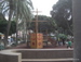 Puerto_de_la_Cruz - Bild 33