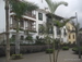Puerto_de_la_Cruz - Bild 47