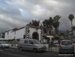 Puerto_de_la_Cruz - Bild 52