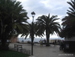Puerto_de_la_Cruz - Bild 53