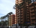 Puerto_de_la_Cruz - Bild 9