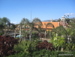 Siam_Park - Bild 105