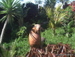Siam_Park - Bild 20