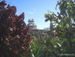 Siam_Park - Bild 29