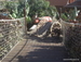 Siam_Park - Bild 84