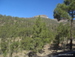 Teide_Nationalpark - Bild 3