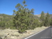 Teide_Nationalpark - Bild 4