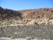 Teide_Nationalpark - Bild 54