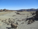 Teide_Nationalpark - Bild 60