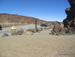 Teide_Nationalpark - Bild 63
