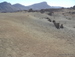 Teide_Nationalpark - Bild 65