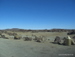 Teide_Nationalpark - Bild 69