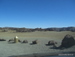 Teide_Nationalpark - Bild 73