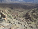 Teide_Nationalpark - Bild 84